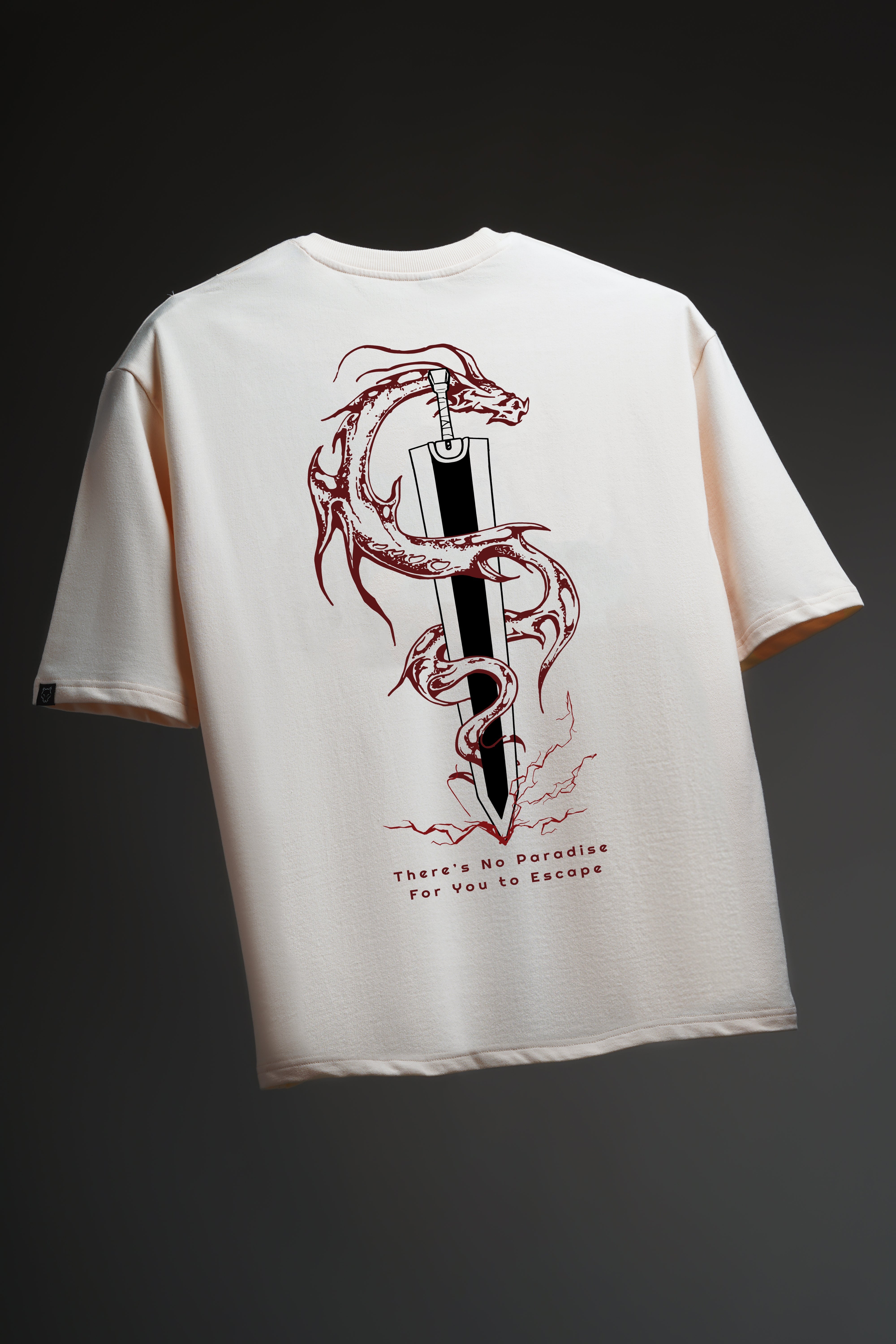 Dragon Slayer - Oversized Tshirt